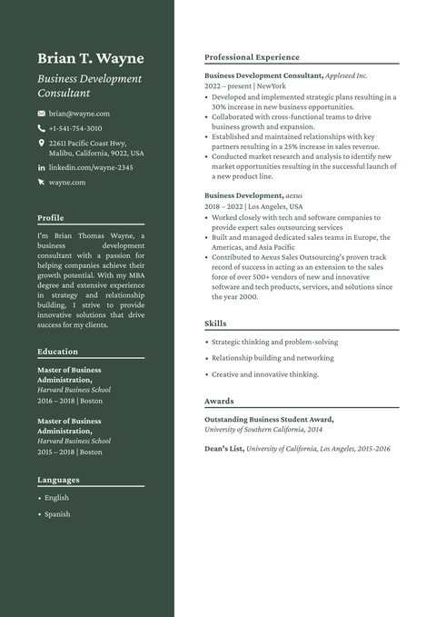 UK Standard CV